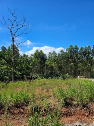 Excelente opção de terreno grande no Bairro Planalto - Morro Reuter/RS