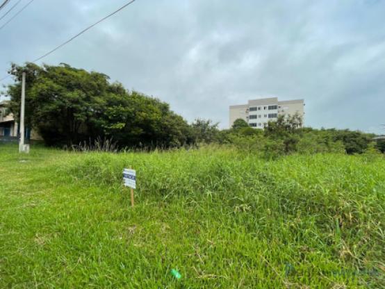 Excelente opção de terreno nas imediações do centro de Dois irmãos/RS!
