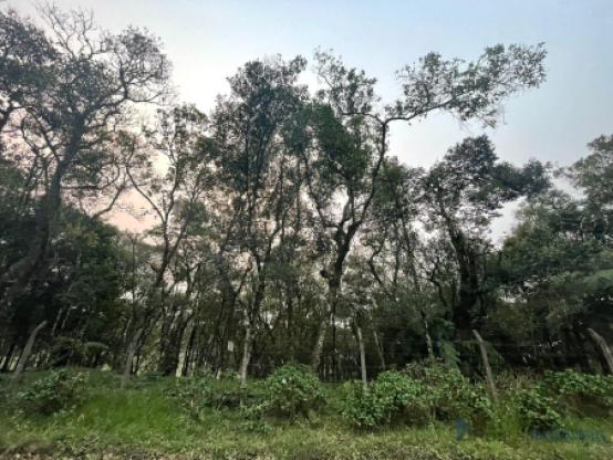 *Terreno à venda – 5190 m² com vista panorâmica*