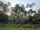 *Terreno à venda – 5190 m² com vista panorâmica*
