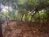 TERRENO EM MEIO A NATUREZA