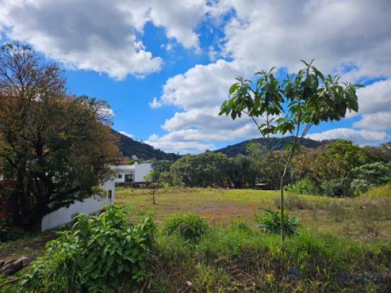Excelente opção de terreno grande pertinho do centro de Morro Reuter!