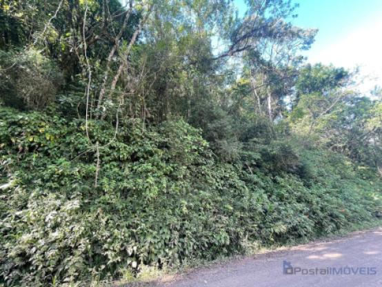 Ótima opção de área em Saõ josé do herval - Morro Reuter!