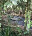 Área de terra com riacho