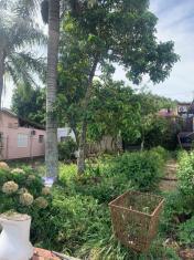 Casas e Sobrados