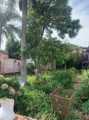 Casas e Sobrados