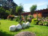 Casas e Sobrados