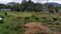 Área de terra