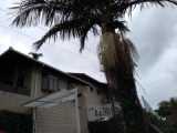 Casas e Sobrados