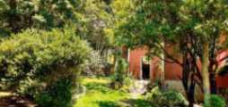 Casas e Sobrados