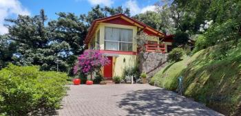 Casas e Sobrados